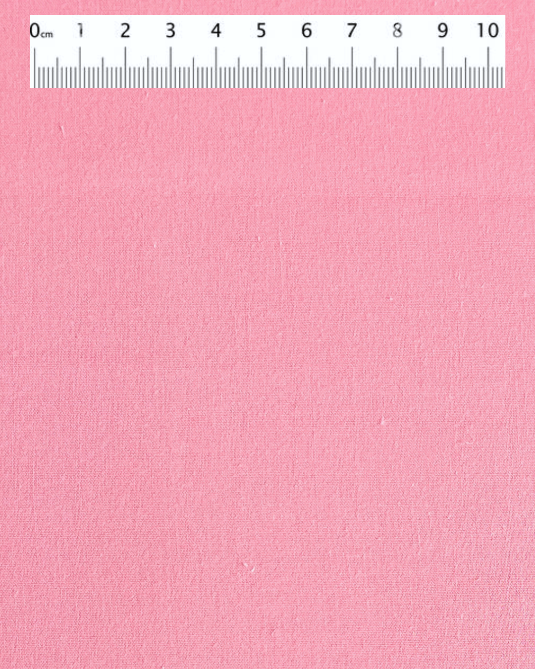 58 Rosa