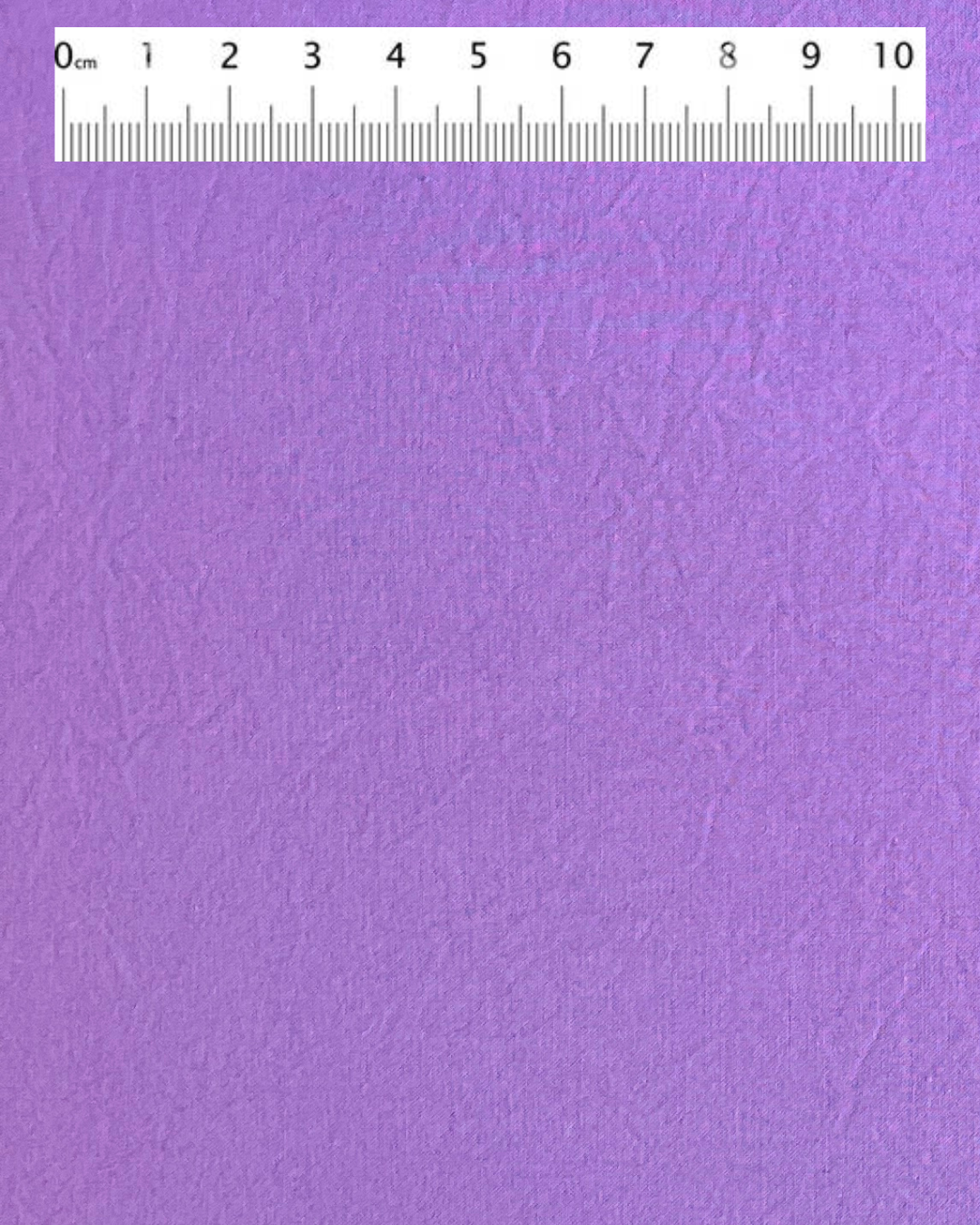 59 Lila
