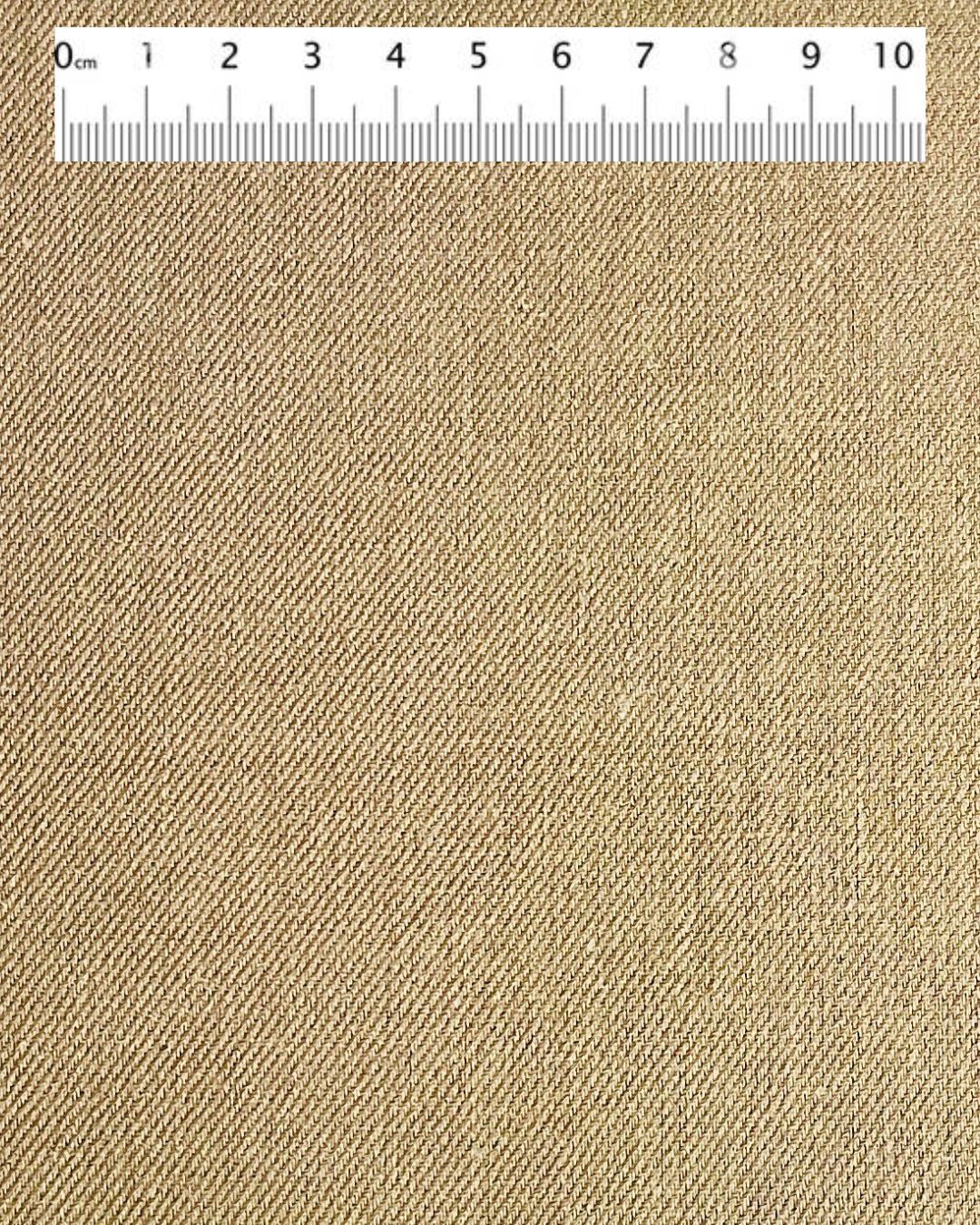 61 Brun