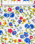 71 Blommig sommaräng