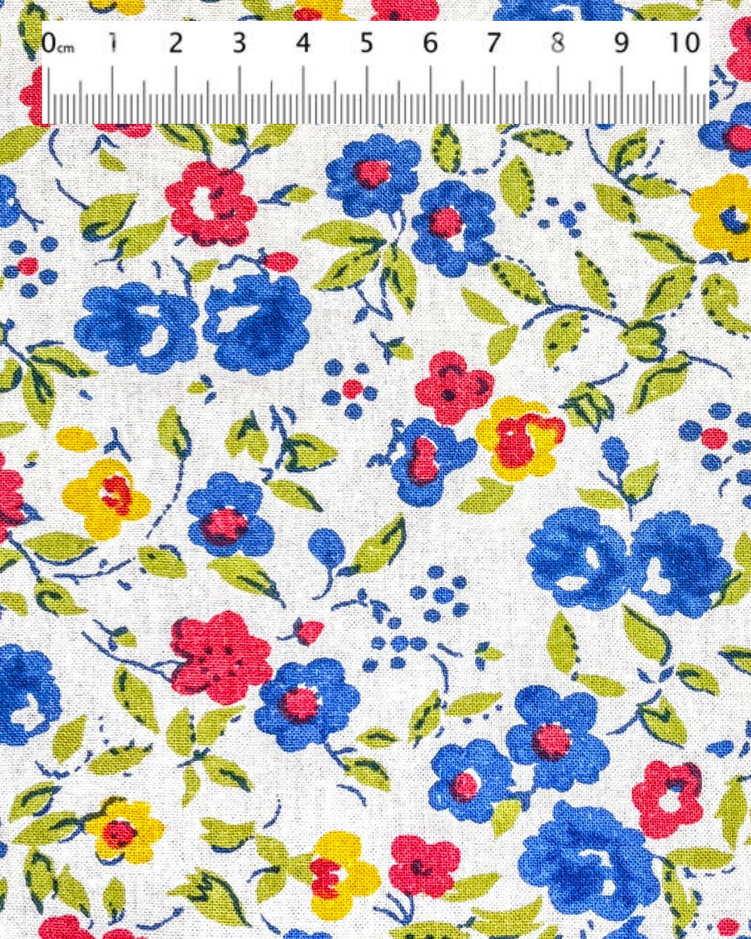 71 Blommig sommaräng